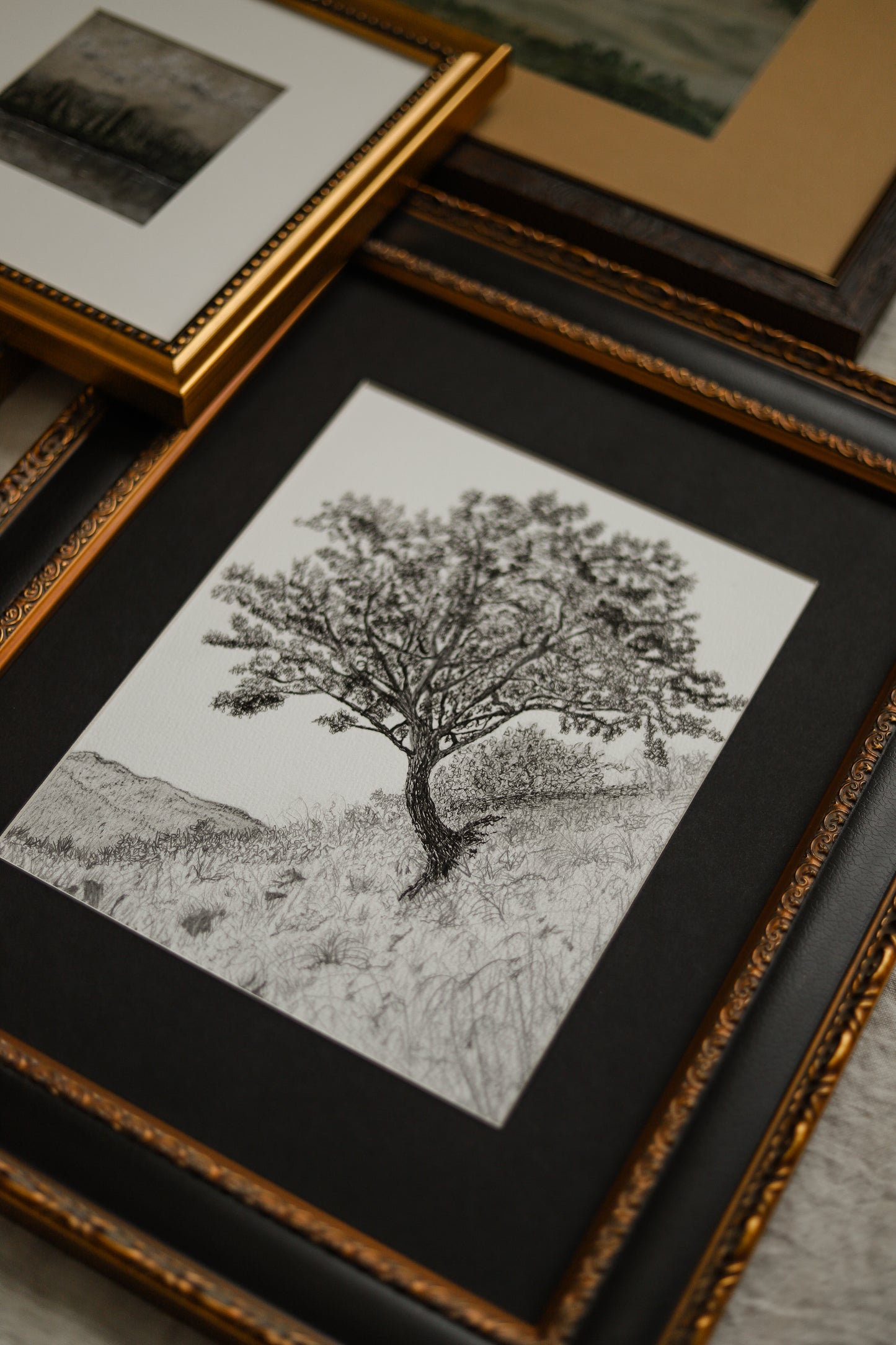 Scotland's Survivor Rowan Tree
